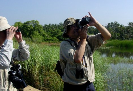 Bird watching - in sri lanka