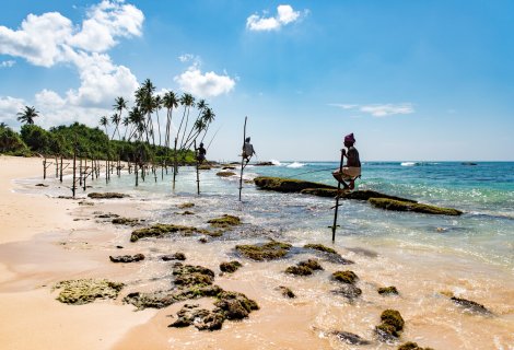 Stilt Fishing - Sri Lanka