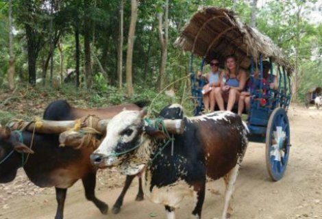 Village Safari - in sri lanka