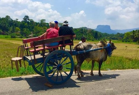 Village Safari - in sri lanka