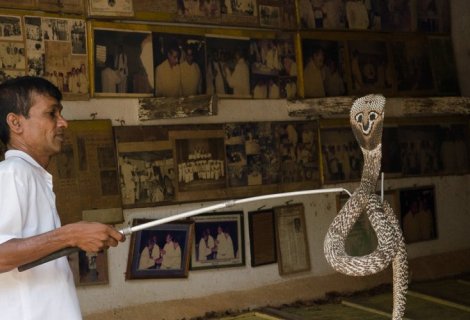  Snake Farm - Sri Lanka