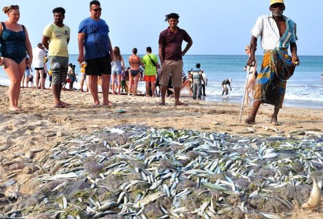 Fishing - Sri Lanka