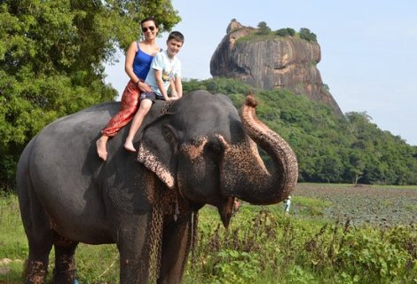 Elephant Back Safari  - in sri lanka