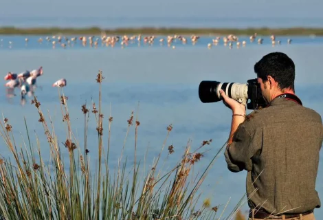 Bird watching - in sri lanka