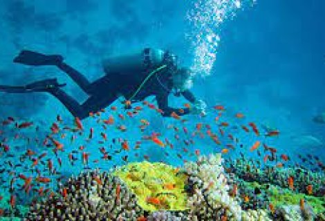 Diving - Sri Lanka