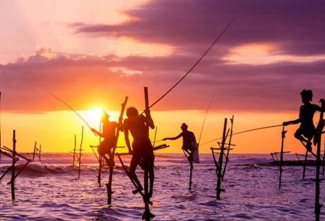 Stilt Fishing - Sri Lanka