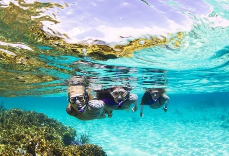 Snorkeling - Sri Lanka