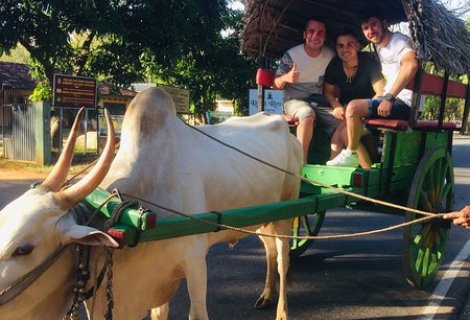 Village Safari - in sri lanka