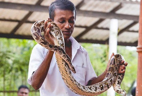  Snake Farm - Sri Lanka