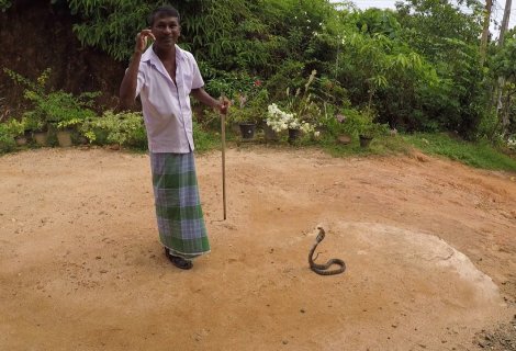  Snake Farm - Sri Lanka