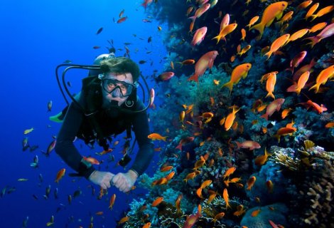 Diving - Sri Lanka