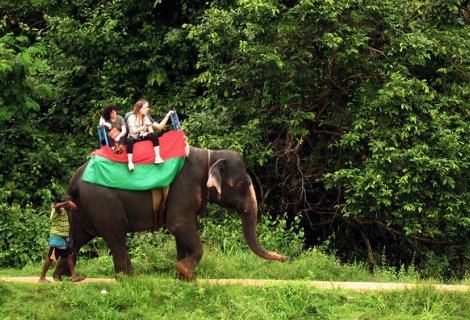 Elephant Back Safari  - in sri lanka