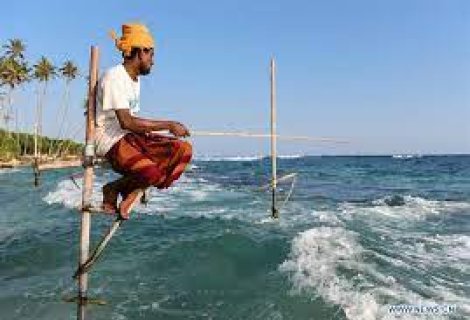 Stilt Fishing - Sri Lanka