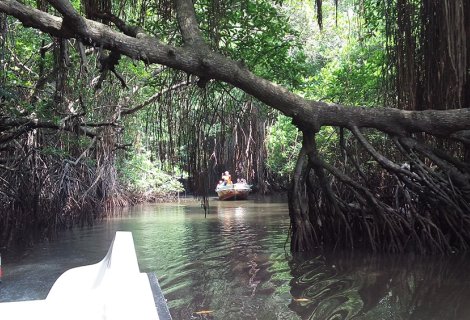 River Safari - Sri Lanka