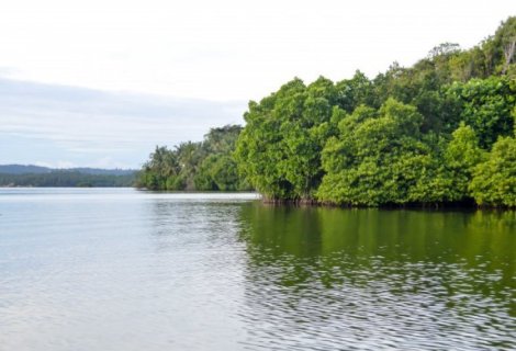 Koggala Lake Safari - Sri Lanka