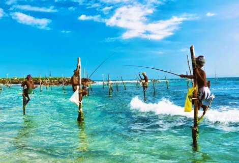 Stilt Fishing - Sri Lanka