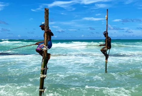 Stilt Fishing - Sri Lanka