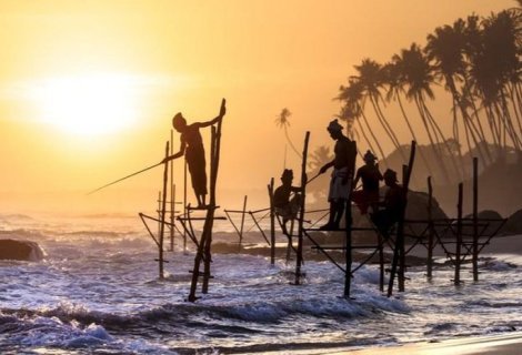 Still Fishing - Sri Lanka