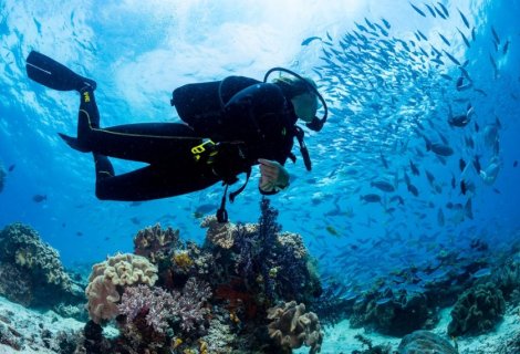 Diving - Sri Lanka