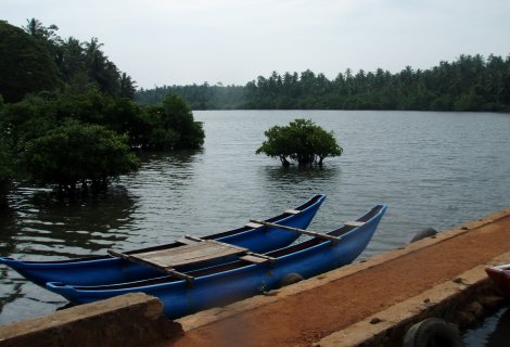 Koggala Lake Safari - Sri Lanka