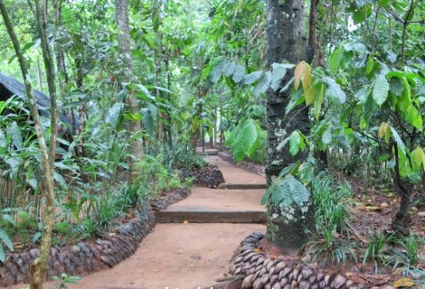 Herbal and Spice garden 