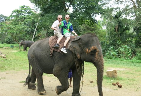 Elephant Back Safari  - in sri lanka