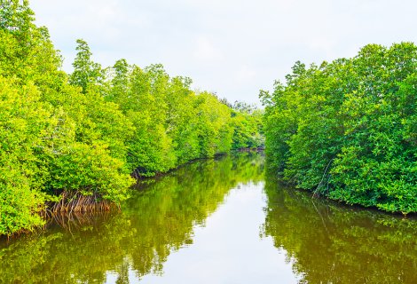 River Safari - Sri Lanka