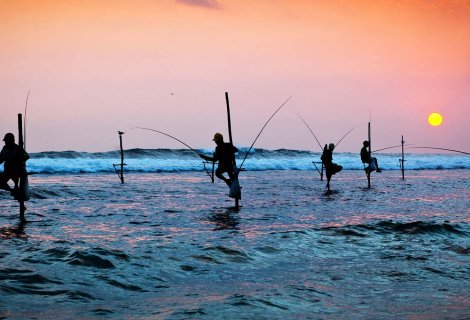 Stilt Fishing - Sri Lanka