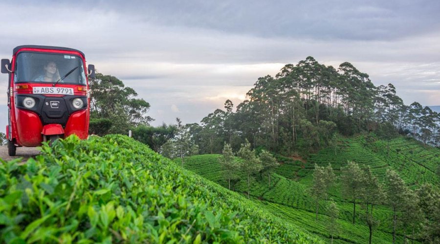 Haputale - Sri Lanka