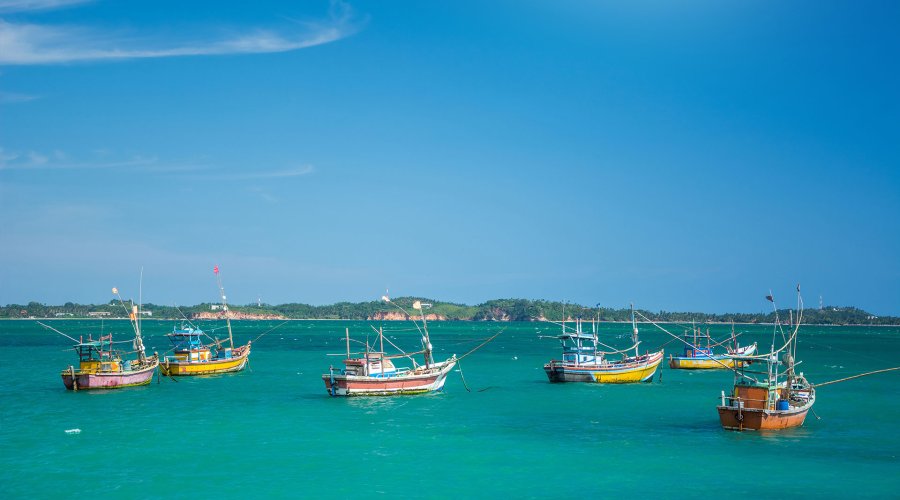 Negombo - Sri Lanka