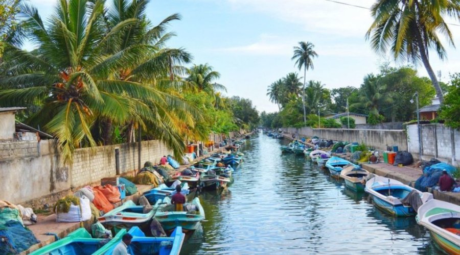 Negombo - Sri Lanka