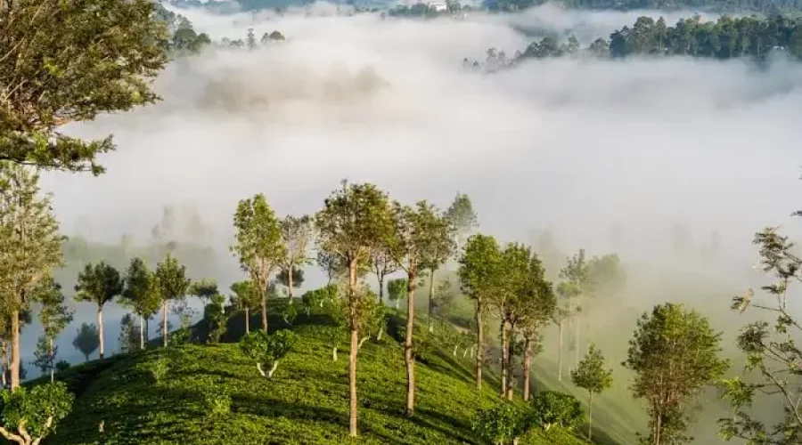 Haputale - Sri Lanka