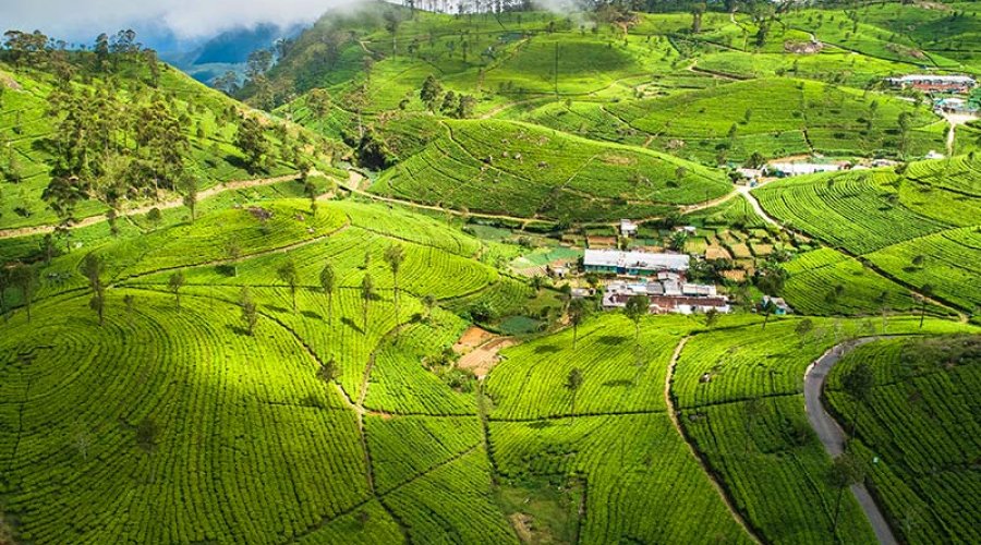 Haputale - Sri Lanka