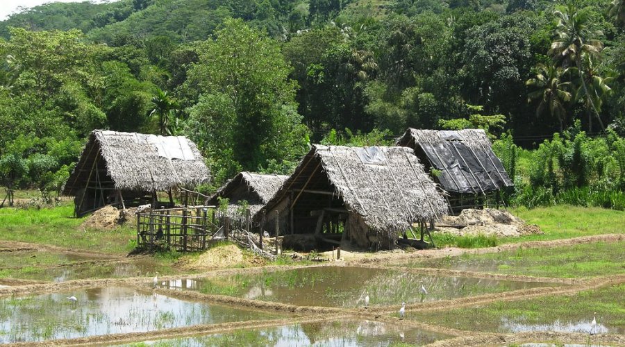 Rathnapura - Sri Lanka