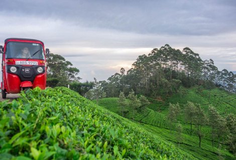 Haputale - Sri Lanka