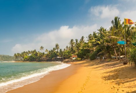 Negombo - Sri Lanka