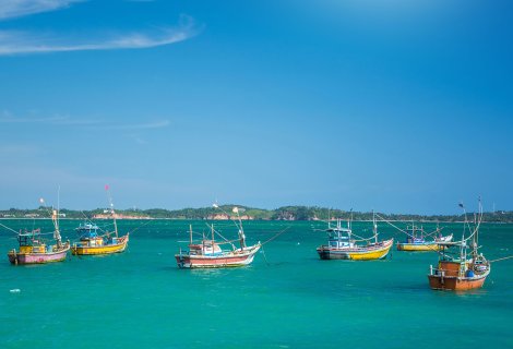 Negombo - Sri Lanka