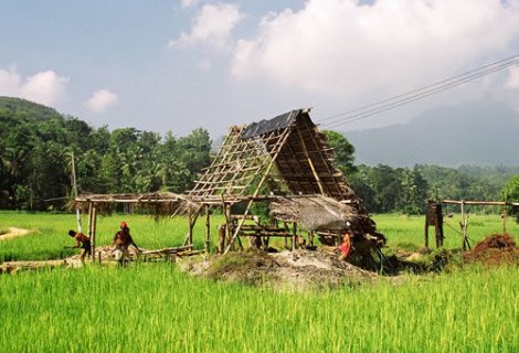 Rathnapura - Sri Lanka