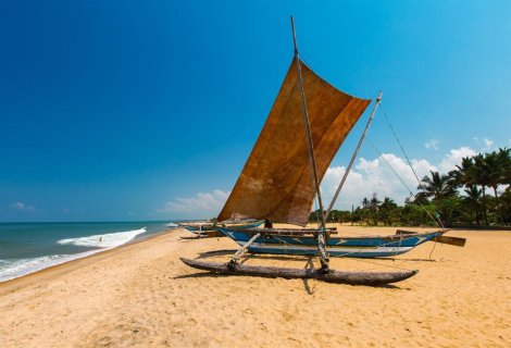 Negombo - Sri Lanka