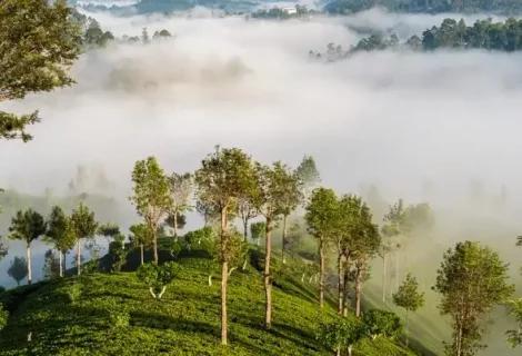 Haputale - Sri Lanka