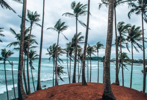 Mirissa - Sri Lanka