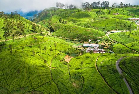 Haputale - Sri Lanka