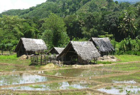 Rathnapura - Sri Lanka