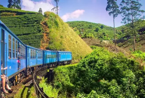 Nuwara Eliya - Sri Lanka