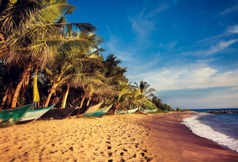 Mirissa - Sri Lanka