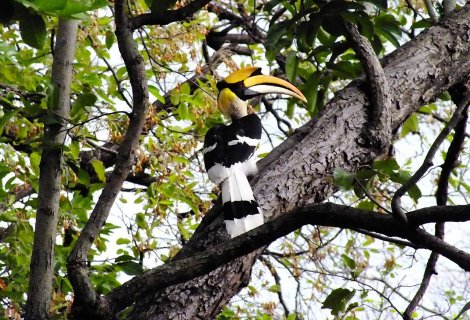 National park sri lanaka