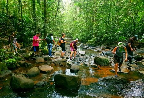 Sinharaja Rain Forest - blumentravels