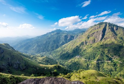 Ella-little-adamspeak