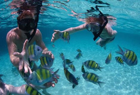 snorkeling