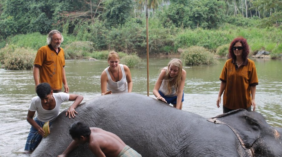 Pinnawala Elephant Opernage blumentravels